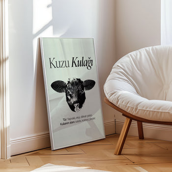 Kuzu Kulağı Poster