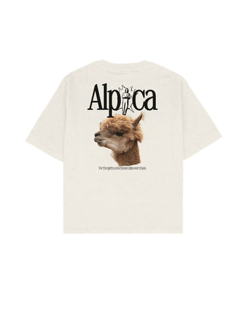 Alpaca Boxy Fit Tişört