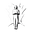 Songs and the Spirits logo