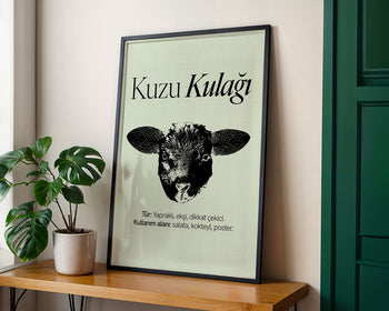 Kuzu Kulağı Poster