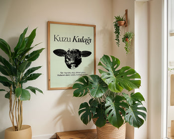 Kuzu Kulağı Poster