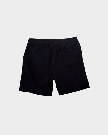 Wild Ride Duo Men's Shorts