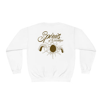 Cosmic Egg Sweatshirt