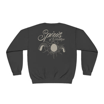 Cosmic Egg Sweatshirt