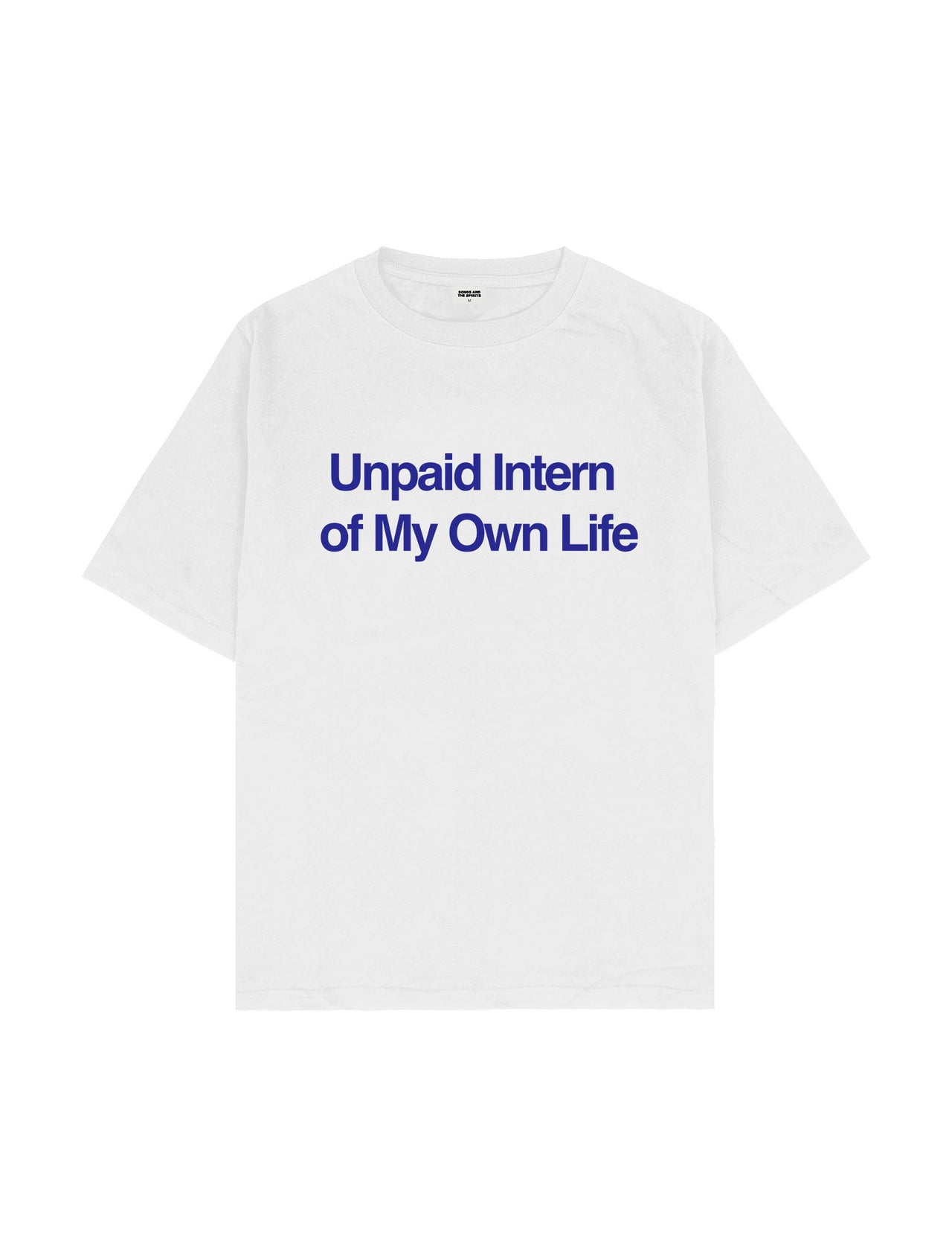 Unpaid Intern Oversize Tişört