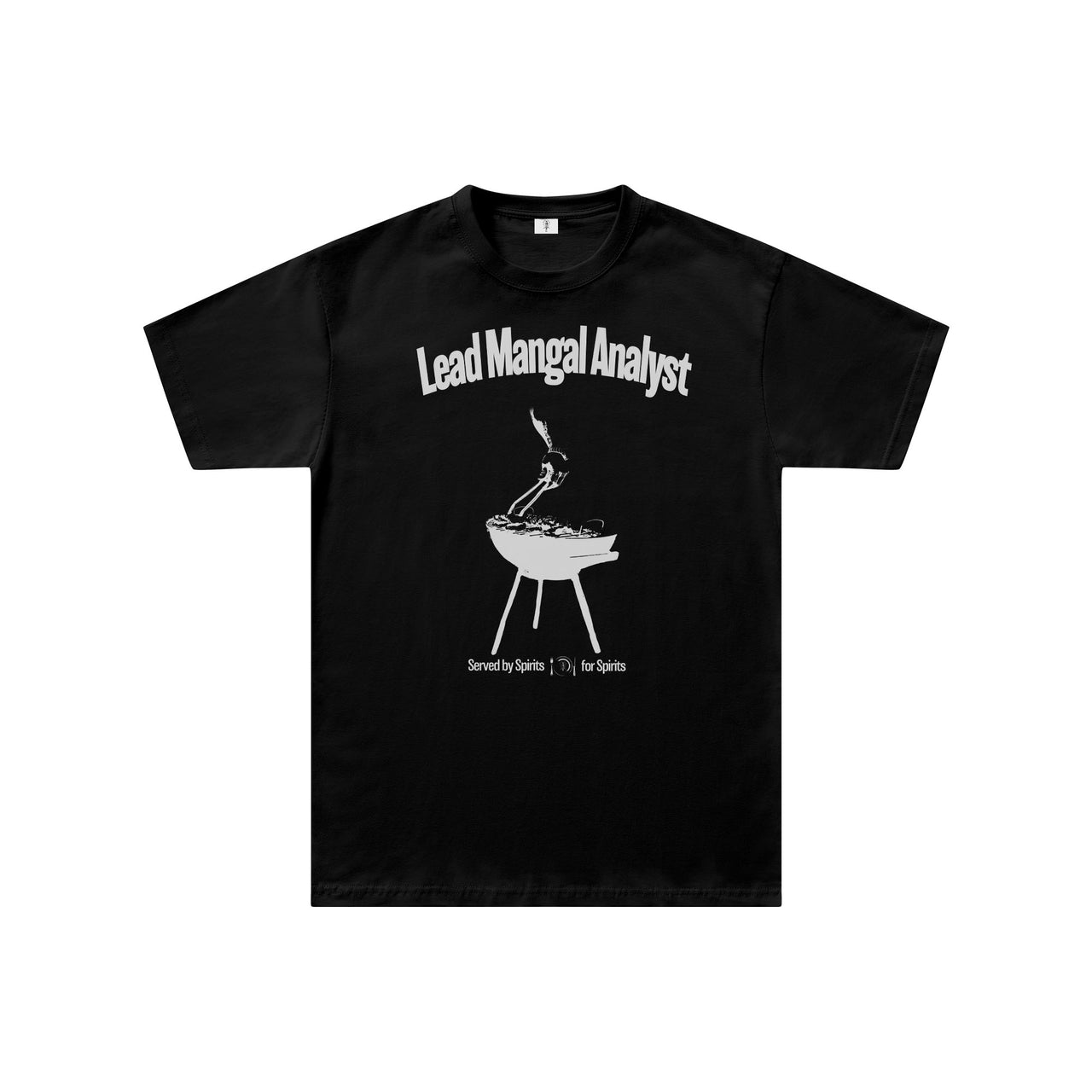 Lead Mangal Analyst Regular Fit Tişört - SİYAH M