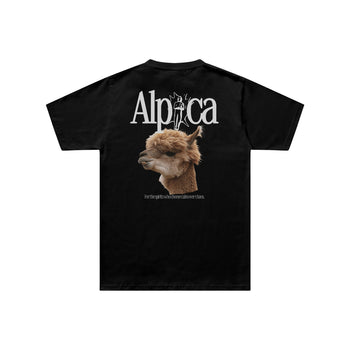 Alpaca Regular Fit Tişört