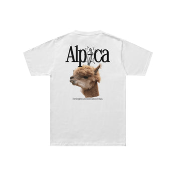 Alpaca Regular Fit Tişört - BEYAZ S