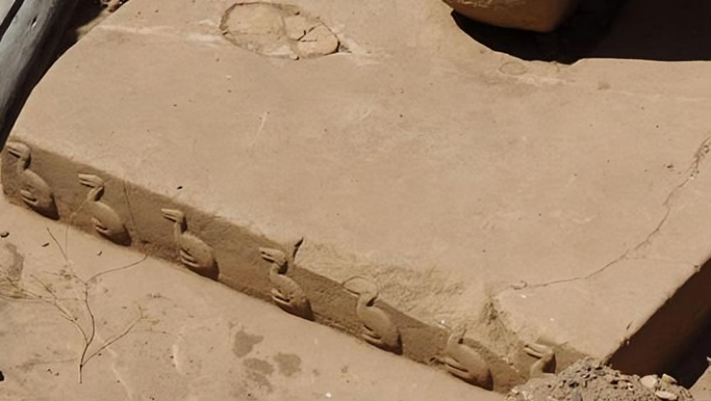 The Seven Birds Geniş Kanvas Çanta