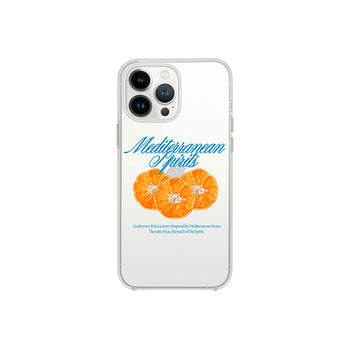 The Taste of the Mediterranean iPhone Phone Case